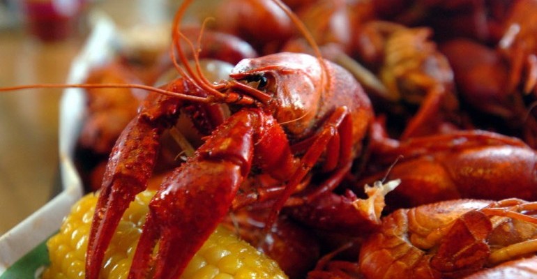 SMAC+to+Host+Annual+Crawfish+Festival