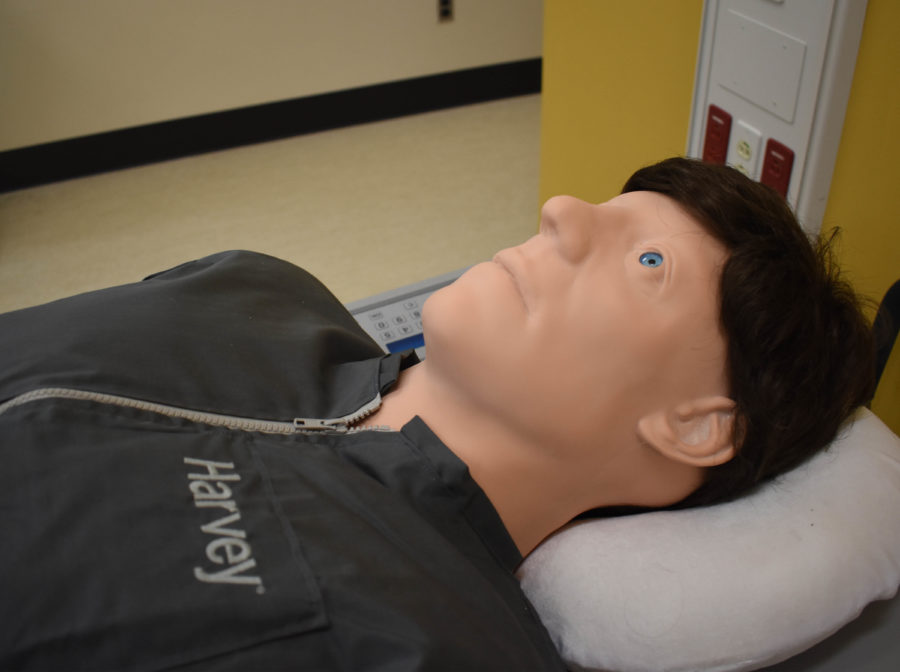 USM Nursing Program Receives New Patient Simulators