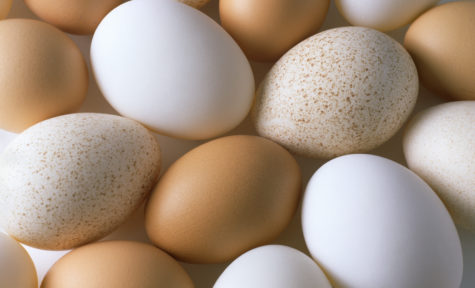 Selection of goose, duck and chicken eggs