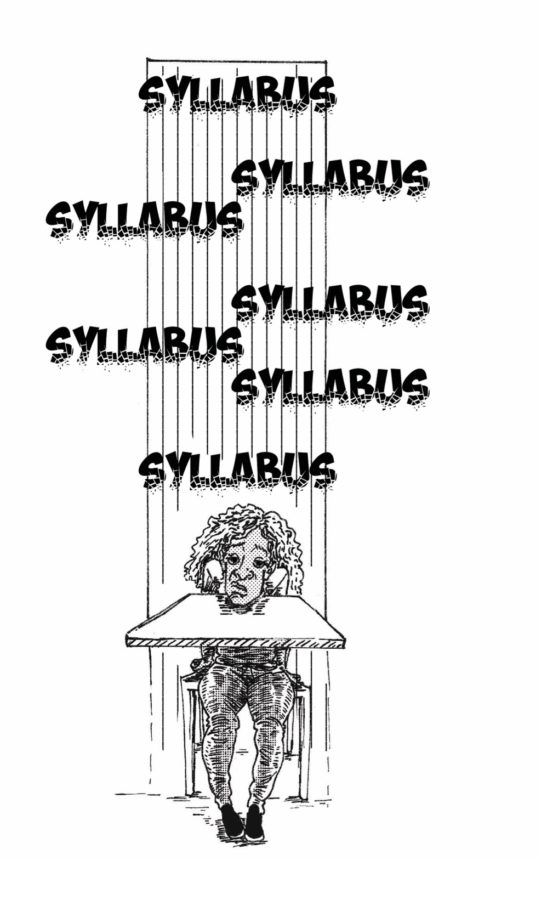 Syllabus Week Comic