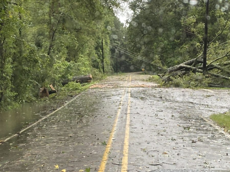 Hattiesburg feels impacts of Hurricane Ida