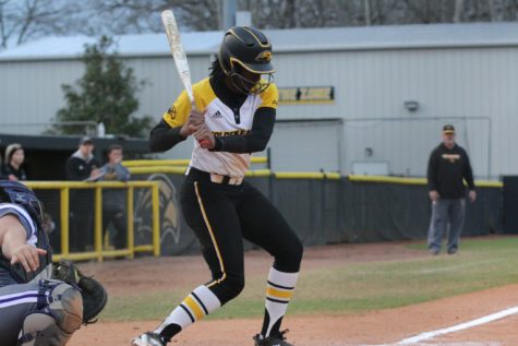 Southern Miss Softball continues win streak after two wins Saturday