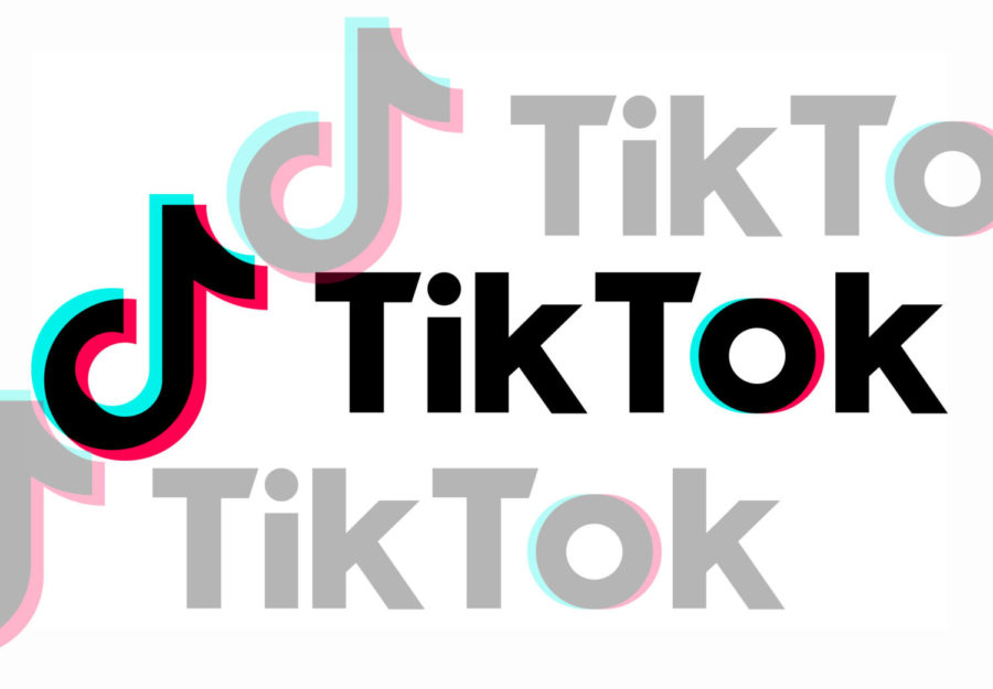 TikTok+banned+from+all+USM+networks%2C+devices