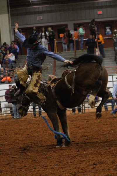 USM Coca-Cola Classic Rodeo Draws Large Crowd