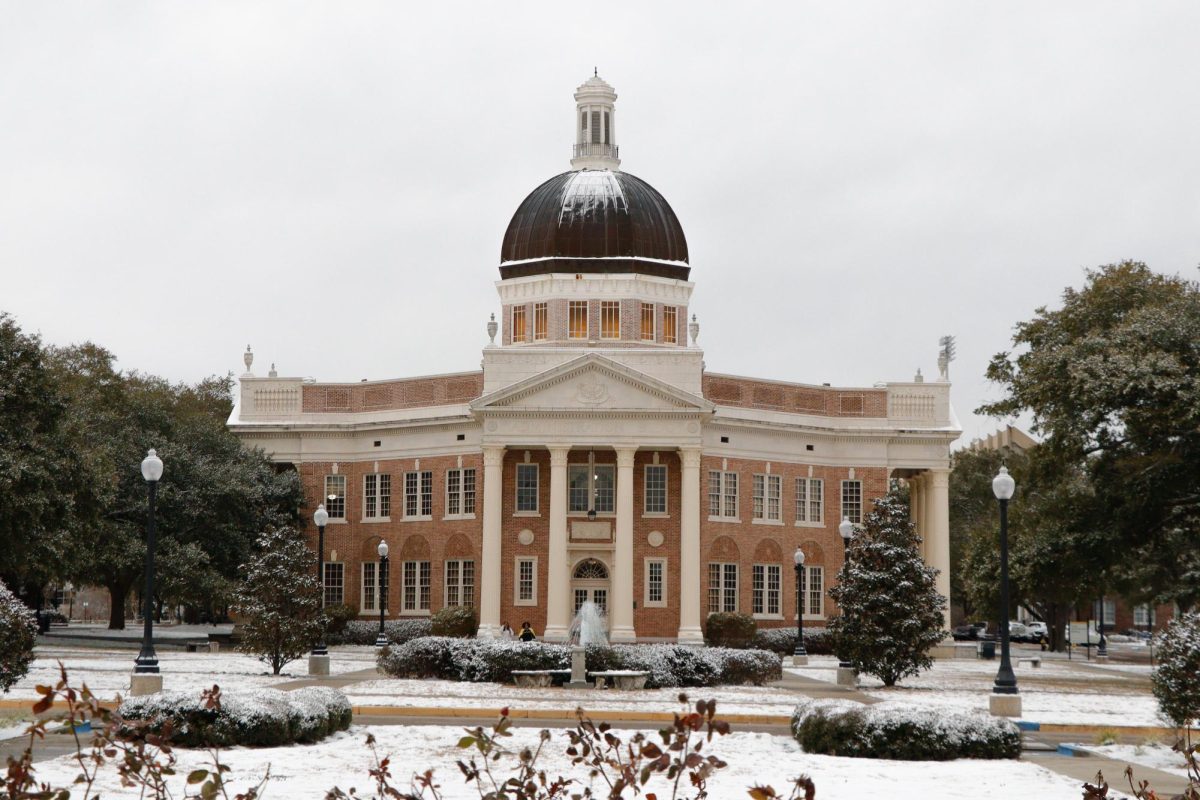 A Golden Eagle Snow Day