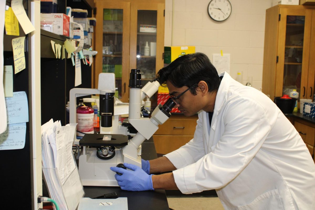 Shazeed-UI Karim is looking at cells in his microscope. 