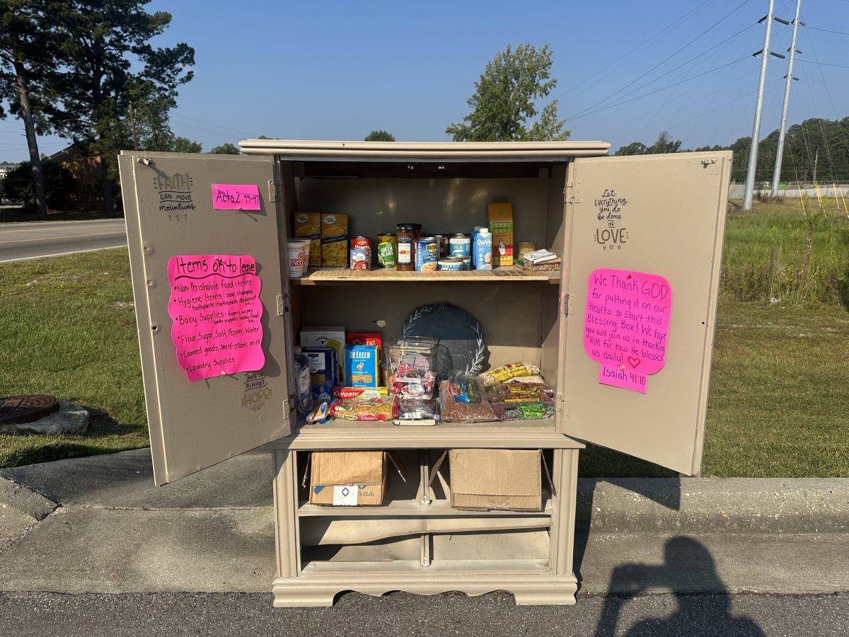 Hattiesburg Woman Launches ‘Blessing Boxes’ to Fight Food Insecurity