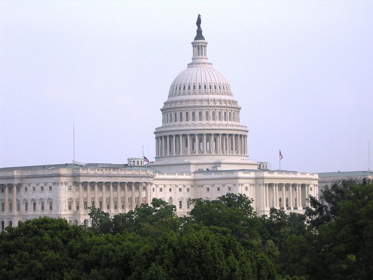 The U.S. Capital building in D.C. Washington.