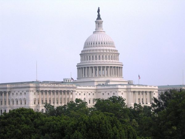 The U.S. Capital building in D.C. Washington.