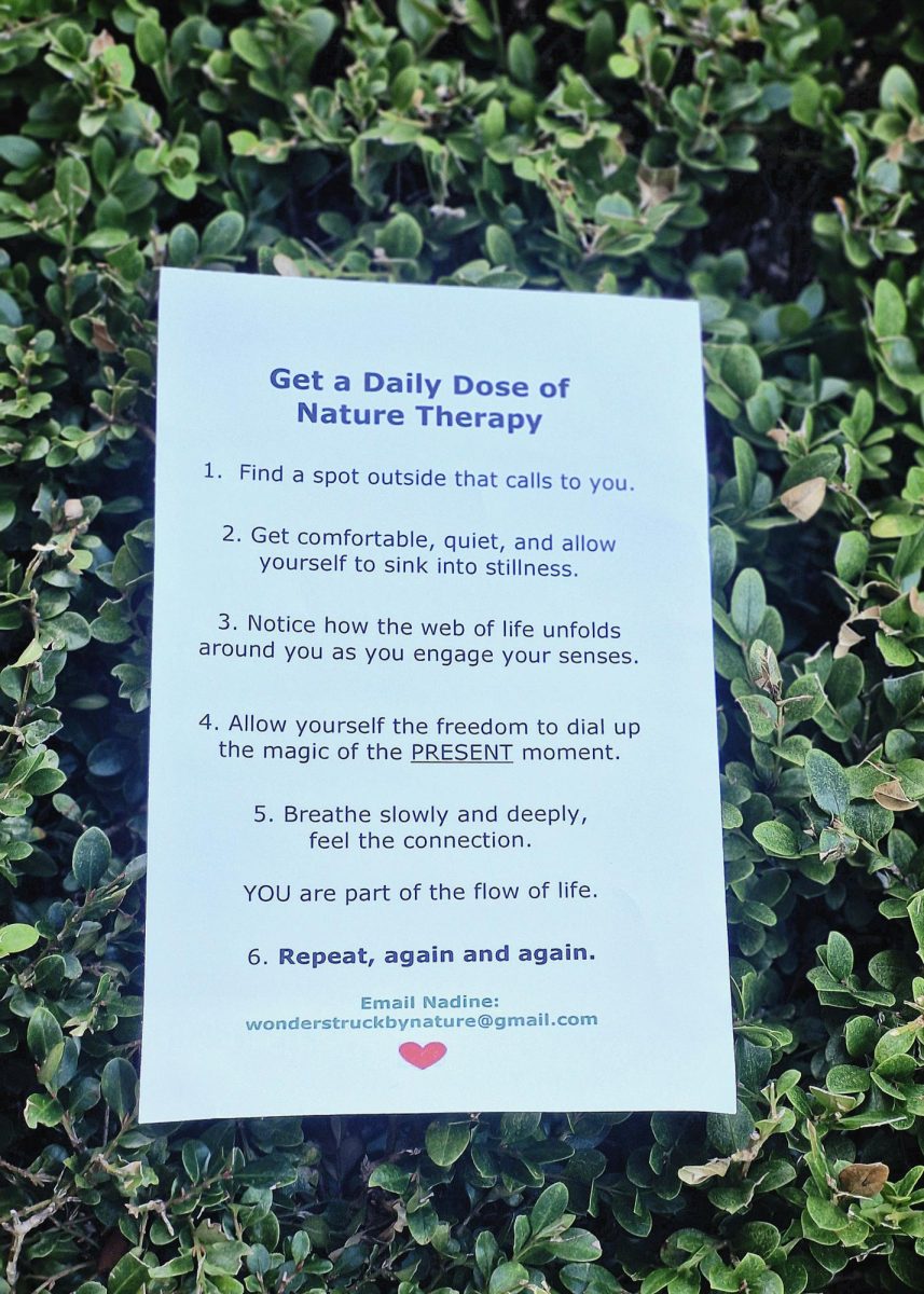 Guide to nature therapy.