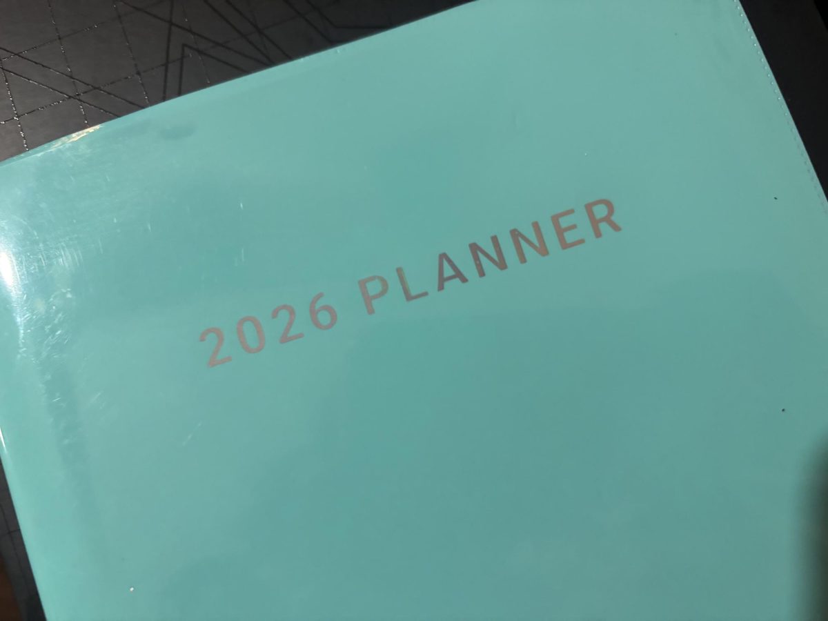 Planner showing the new year, representing a place to put plans and goals. 