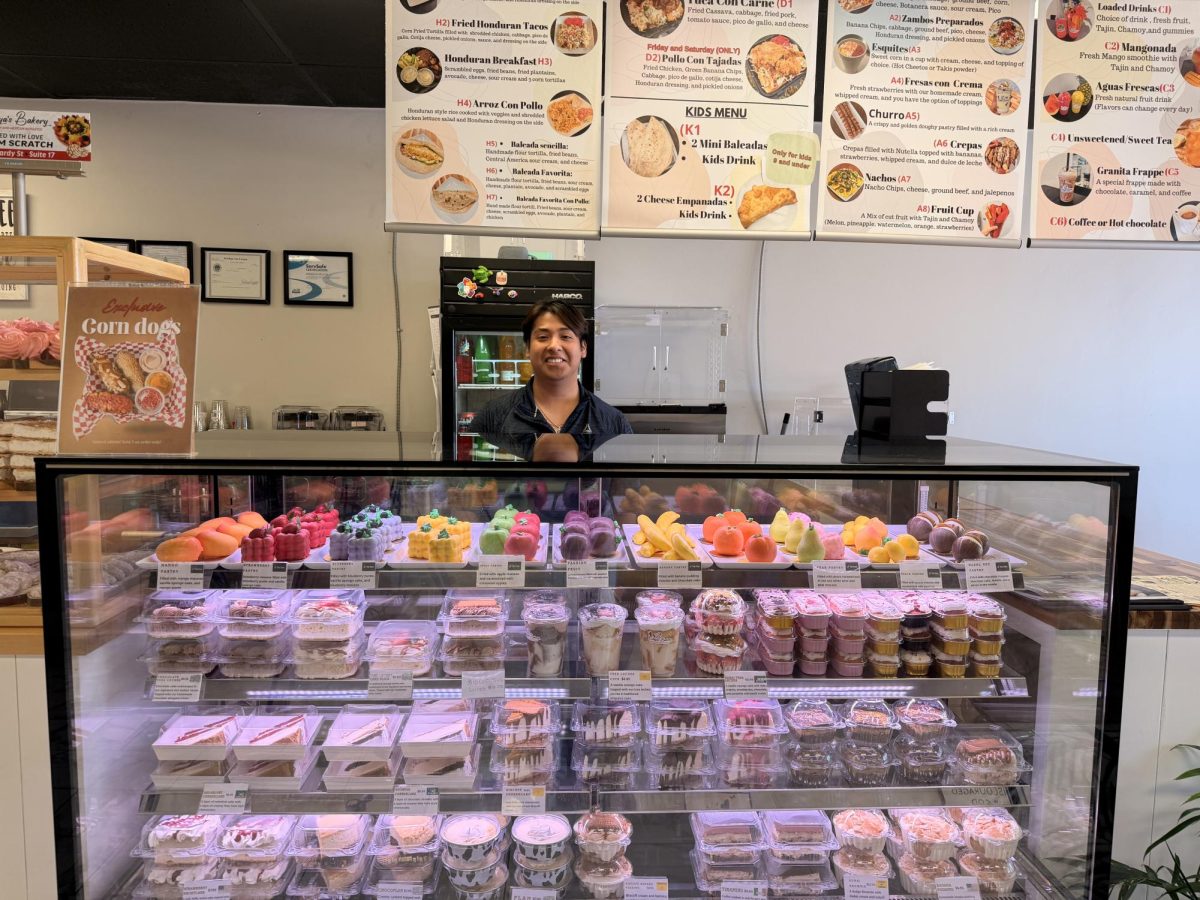 The large glass case of deserts at the bakery, with the main front worker.